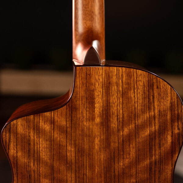 Washburn Vite S9V Bella Tono