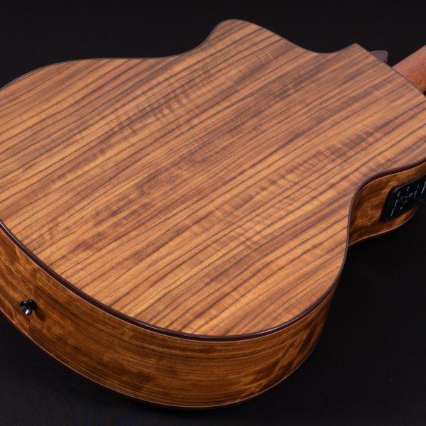 Washburn Vite S9V Bella Tono