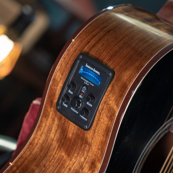 Washburn Vite S9V Bella Tono