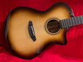 Used Breedlove Organic Artista Pro Concert