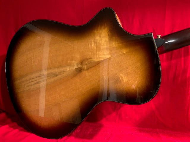 Used Breedlove Organic Artista Pro Concert