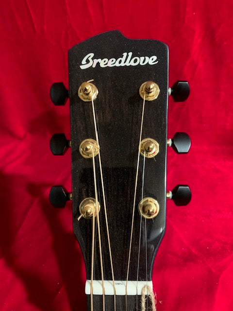 Used Breedlove Organic Artista Pro Concert