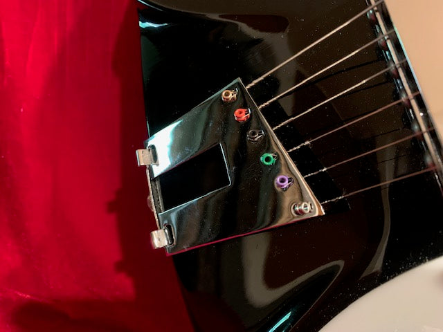 Rickenbacker John Lennon 355JL Limited Edition