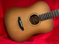 Breedlove RTD-SMEDe Dreadnought-Edgeburst w/ Breedlove Case