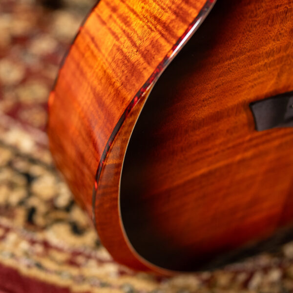 Washburn WCG12FCE Comfort