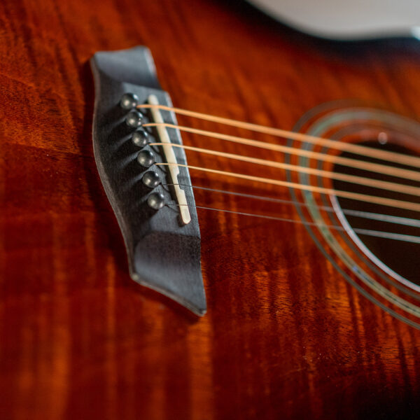 Washburn WCG12FCE Comfort