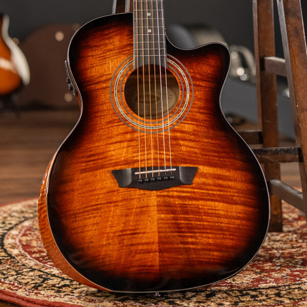 Washburn WCG12FCE Comfort