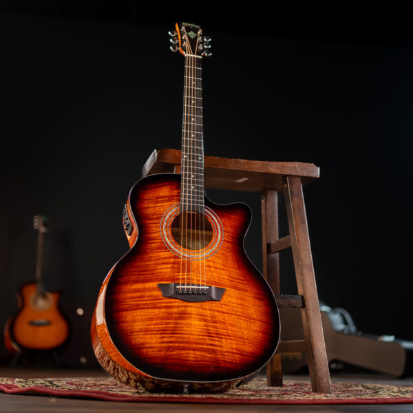 Washburn WCG12FCE Comfort