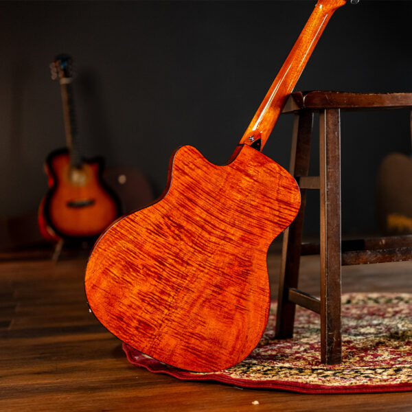 Washburn WCG12FCE Comfort